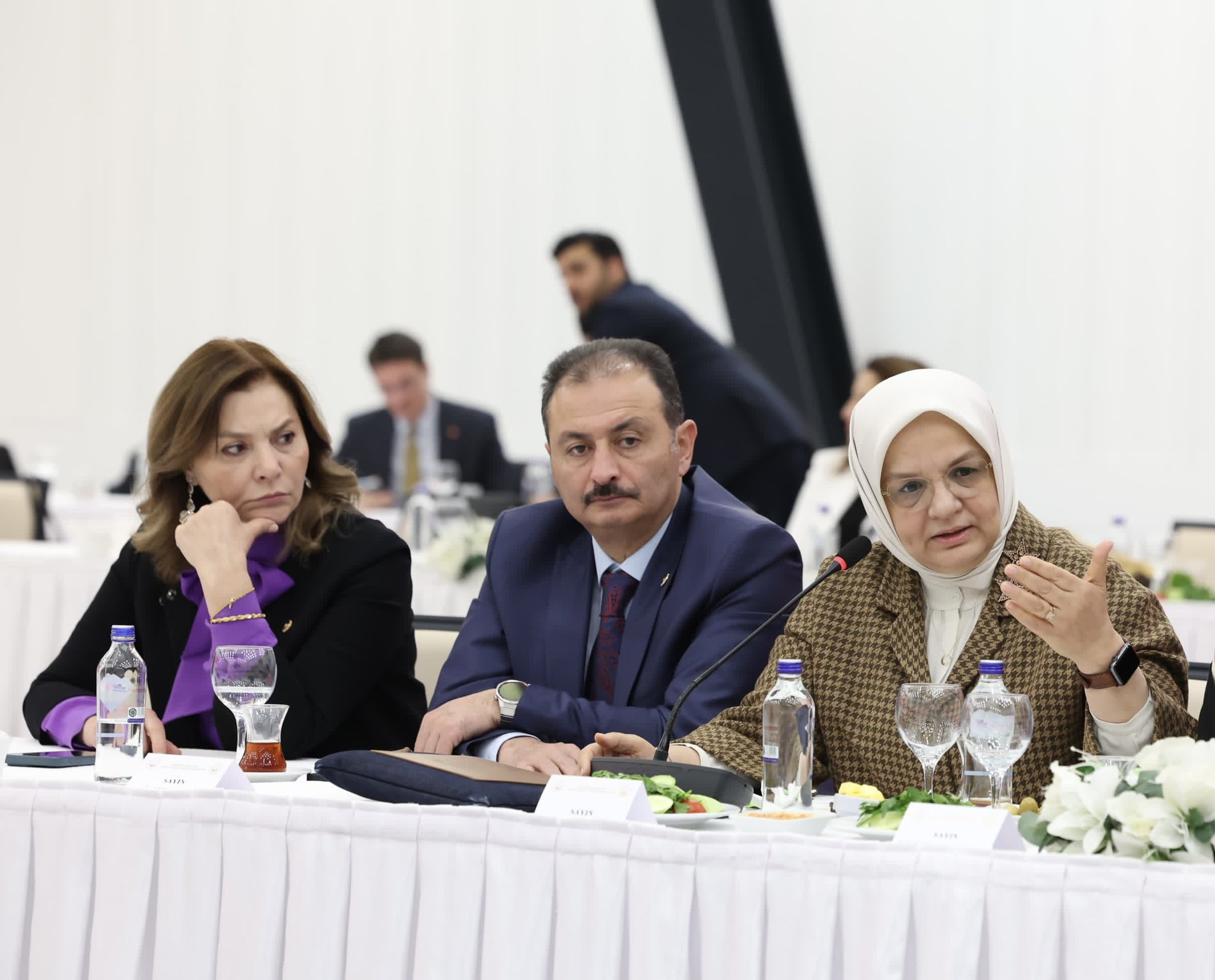 SOSYAL MEDYA DÜZENLEMESİNİ İSTİŞARE ETTİK