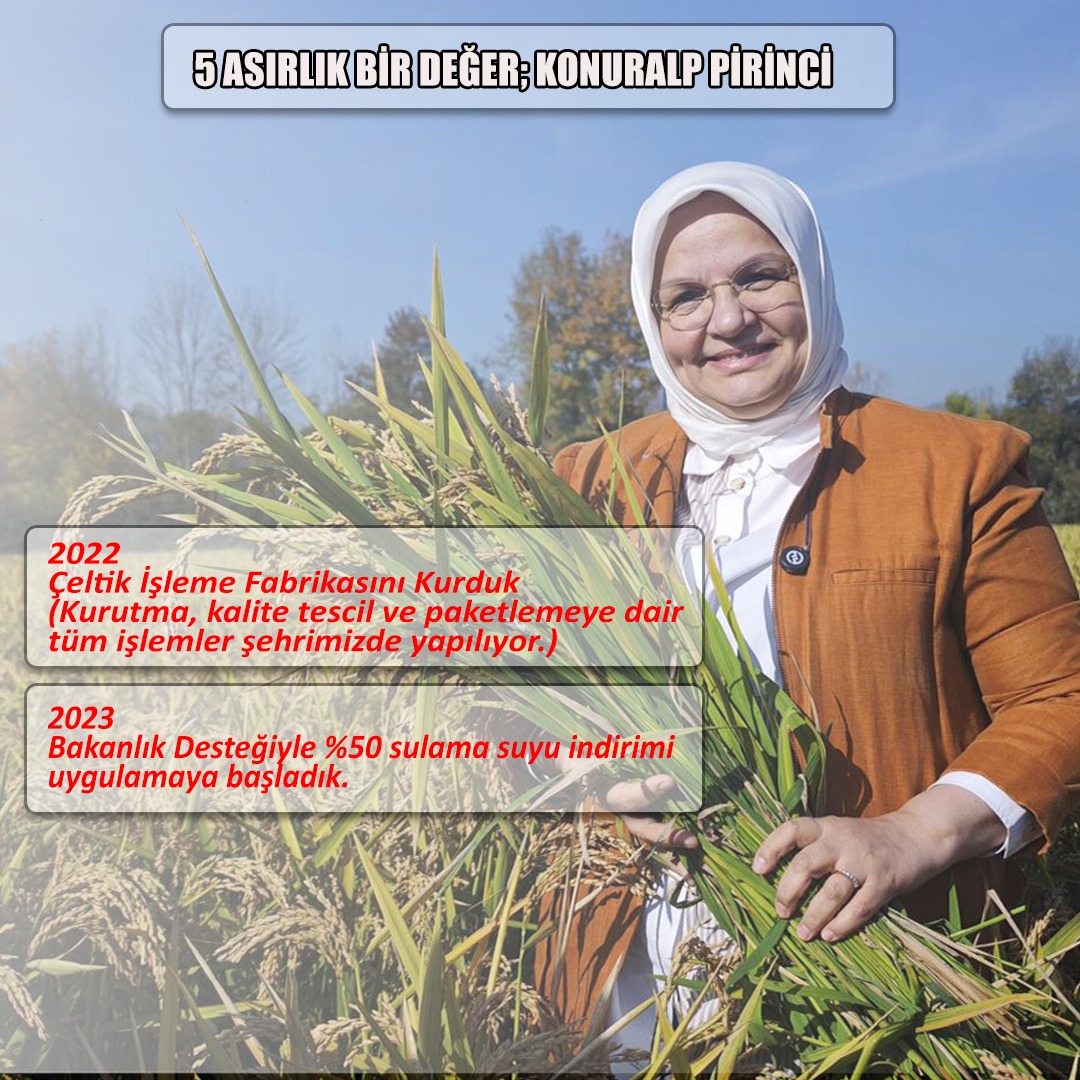 DÜZCE'DE ÇELTİK DEVRİMİ