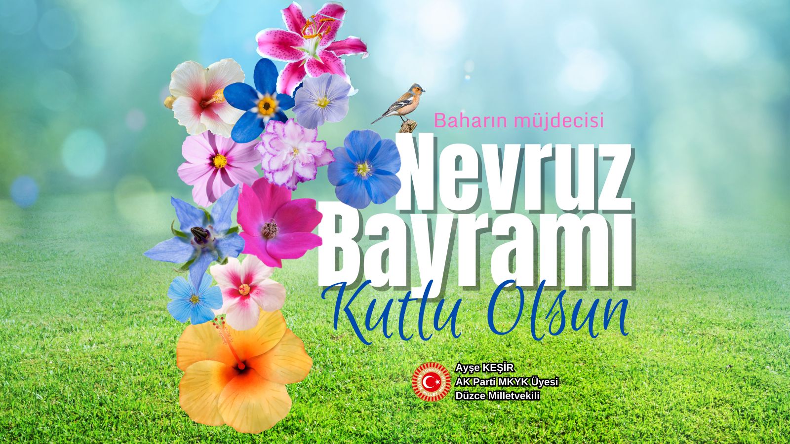 NEVRUZ BAYRAMIMIZ KUTLU OLSUN