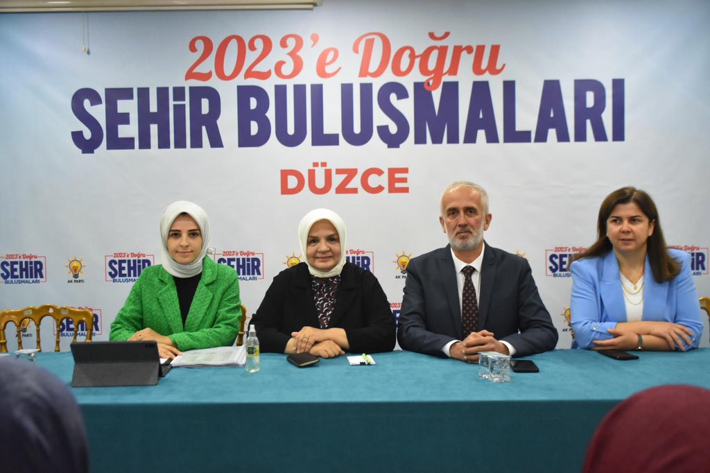 DÜZCE ŞEHİR BULUŞMASI