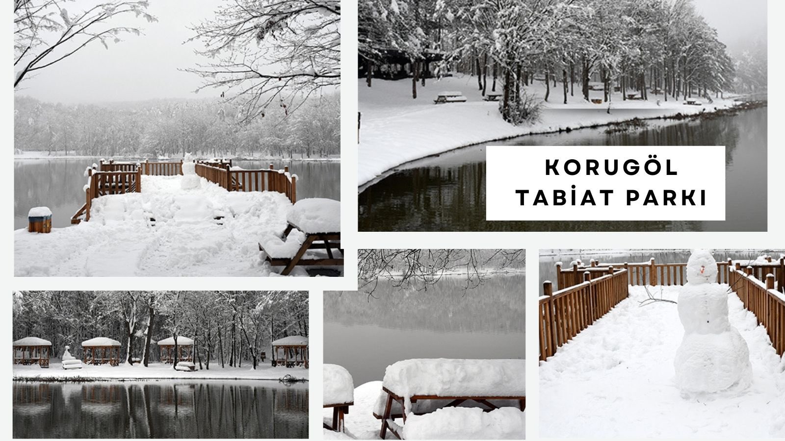 KORUGÖL'Ü GÖRDÜNÜZ MÜ?