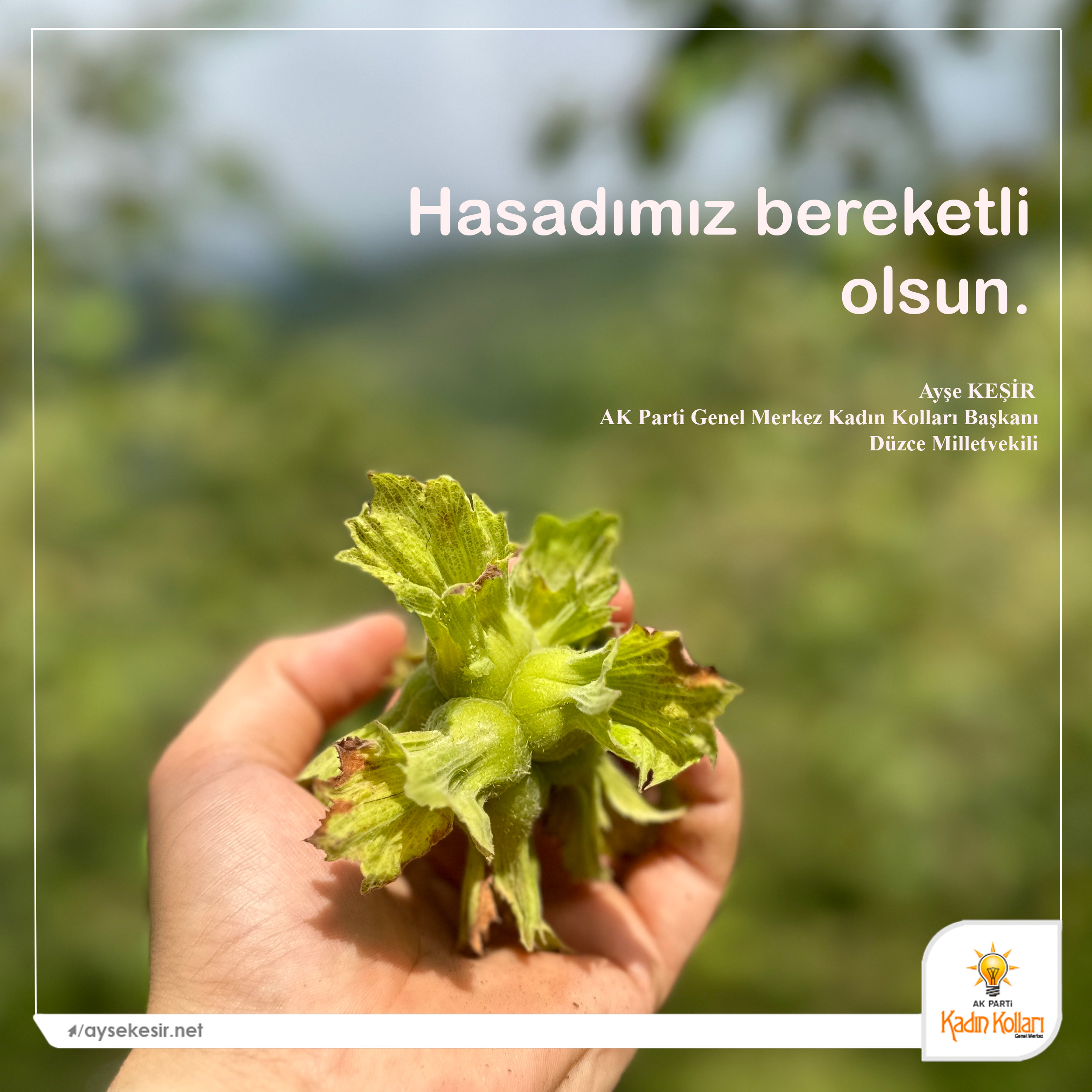 FINDIK SEZONU HAYIRLI OLSUN