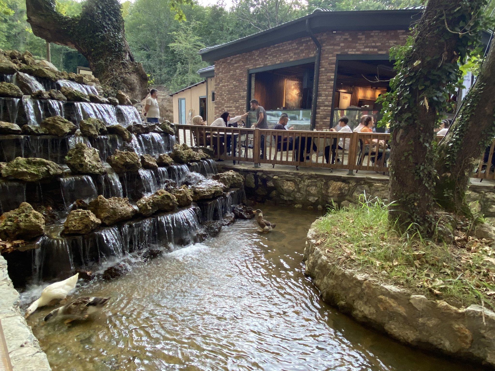 DÜZCEMİZE YAKIŞTI